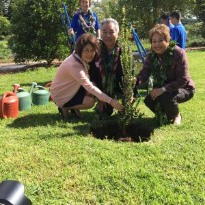 The governor, first lady and Sen. Lorraine Inouye plant an 'ohia tree as a symbol of cultural and environmental awareness