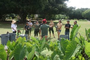 The Maui Nui Botanical Gardens gives tours to promote connections to traditional Hawaiian crops. The Hawai'i Tourism Authority helps fund the project.
