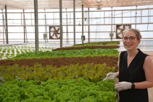 Molly Stanek,senior vice president of Sensei Farms Lana'i,with lettuce from one of their hydroponic greenhouses.