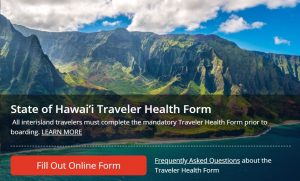 Interisland travelers are encouraged to go to the DOH travel website to submit their form online.