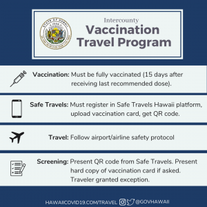 A summary of the Vaccination Travel Program steps.
