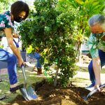 Governor and Mrs. Ige dig in for tree planting.