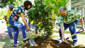 Governor and Mrs. Ige dig in for tree planting.