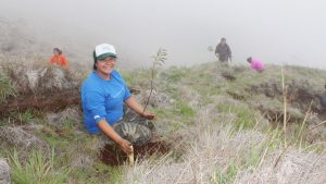 Restoring native trees is a priority.