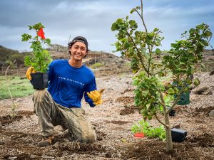 People can apply for 130 openings in a new Kupu ‘Āina Corps “green jobs” program. For details, go to https://www.kupuhawaii.org/aina/.