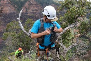 Rappelling down cliffs in Waimea Canyon is just part of the job.