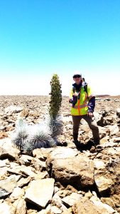 Jessica Kirkpatrick with a Maunakea silversword.